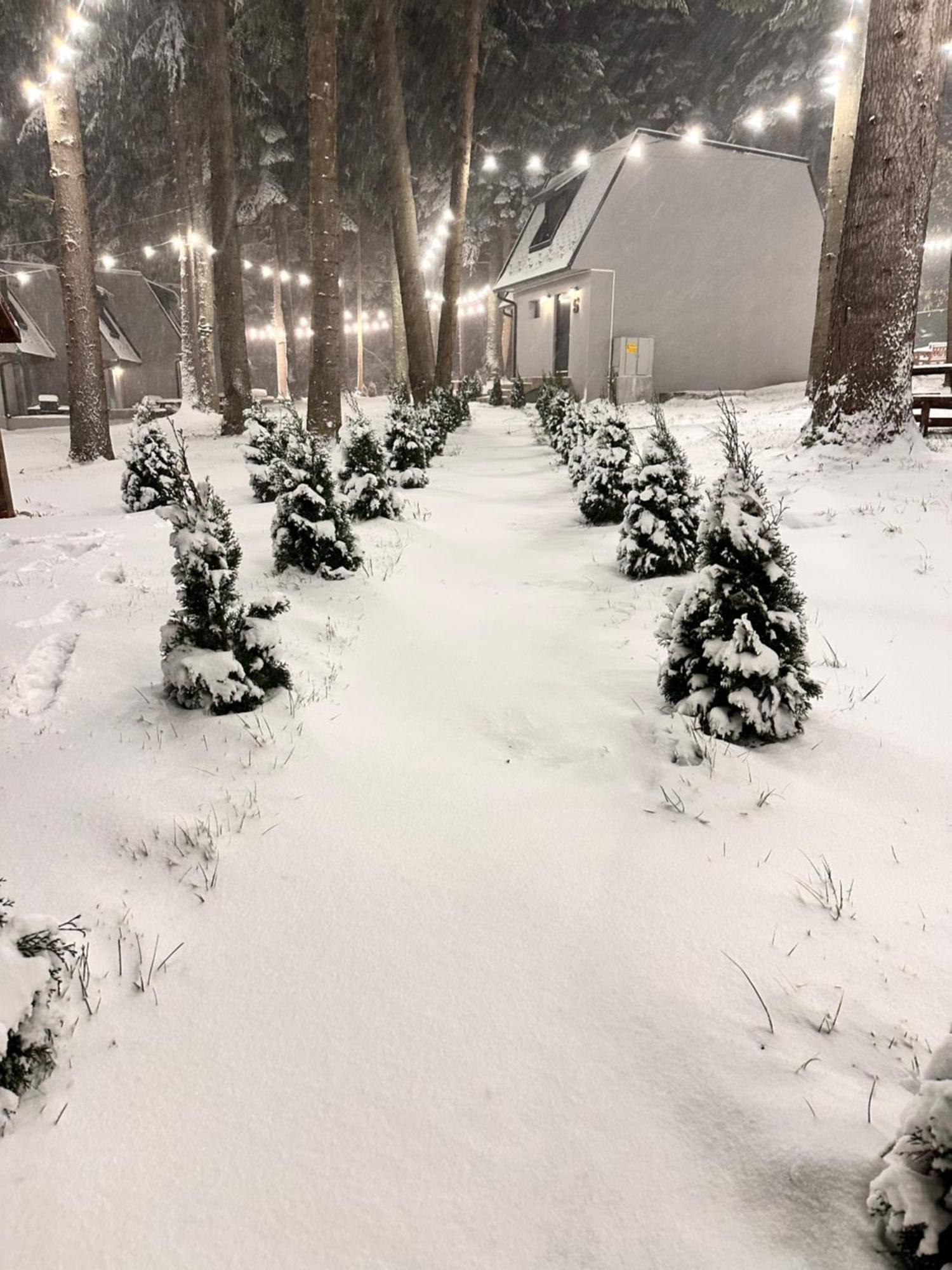 Boro Green Holiday Village Borovets Exteriör bild