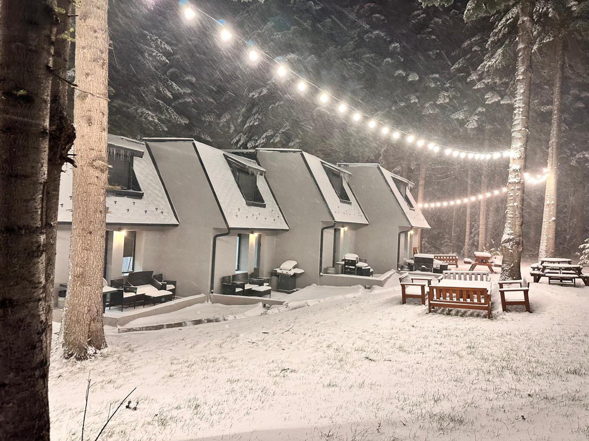 Boro Green Holiday Village Borovets Exteriör bild