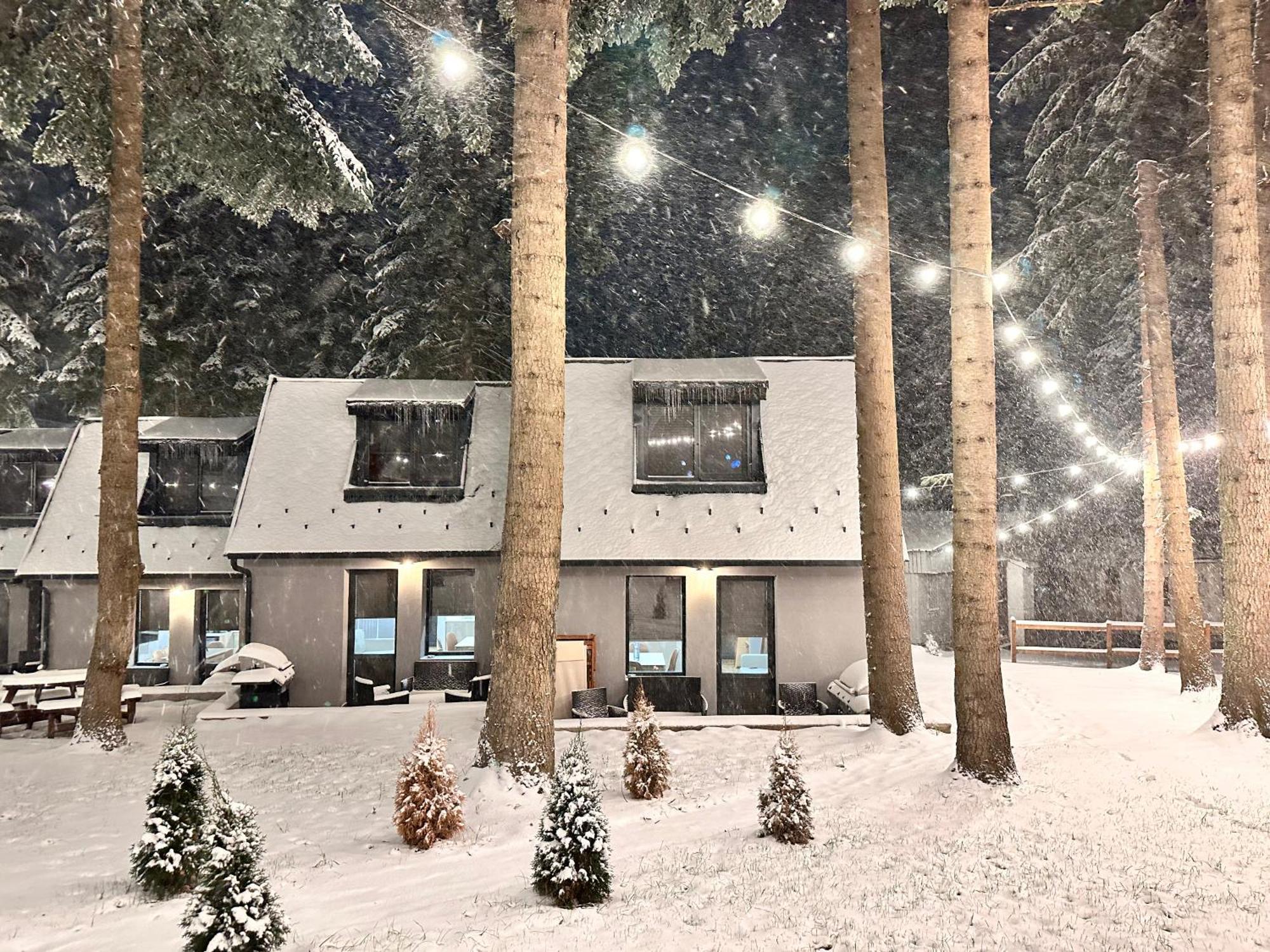 Boro Green Holiday Village Borovets Exteriör bild