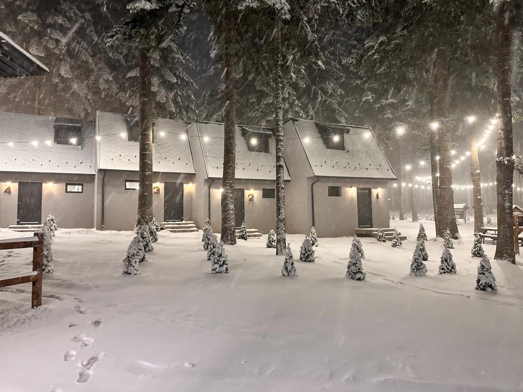 Boro Green Holiday Village Borovets Exteriör bild