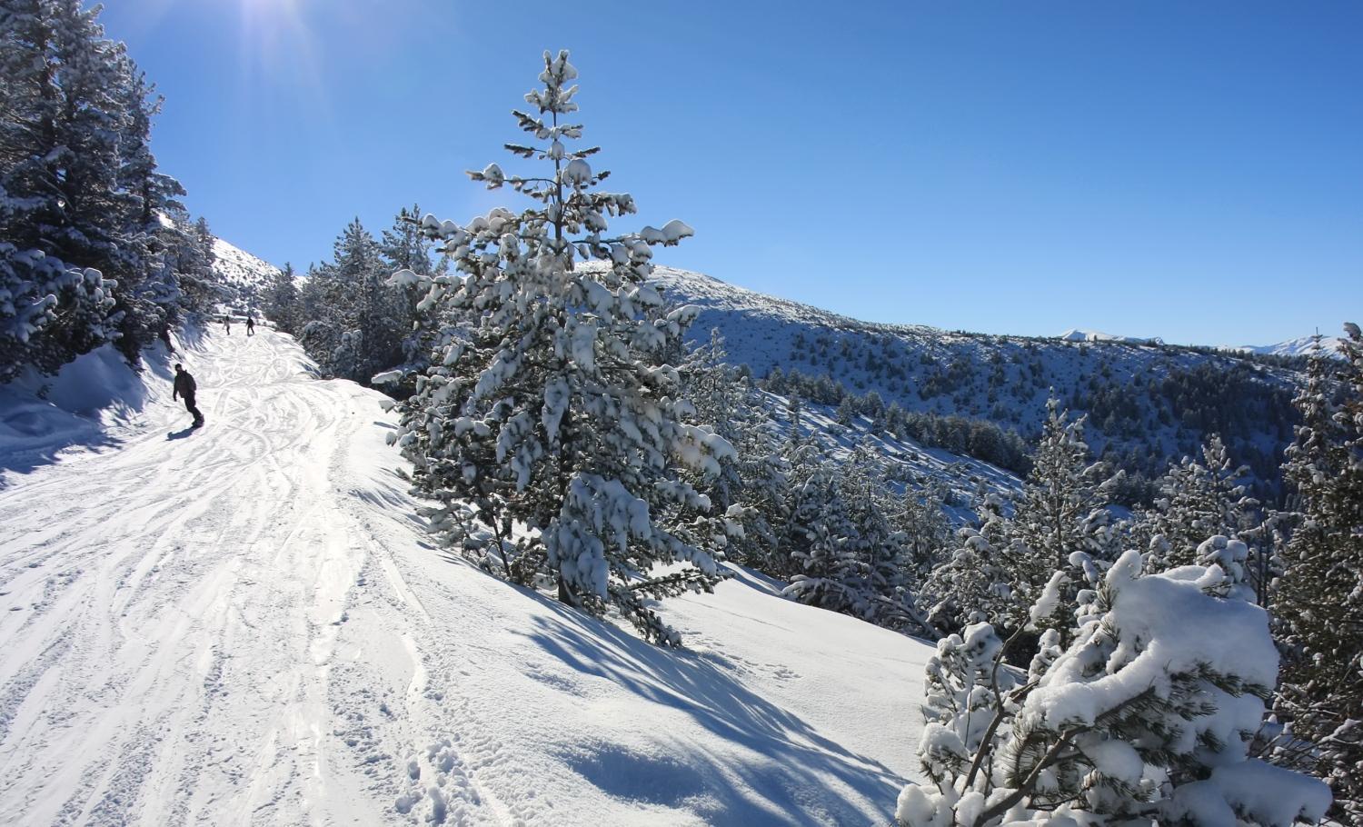 Boro Green Holiday Village Borovets Exteriör bild