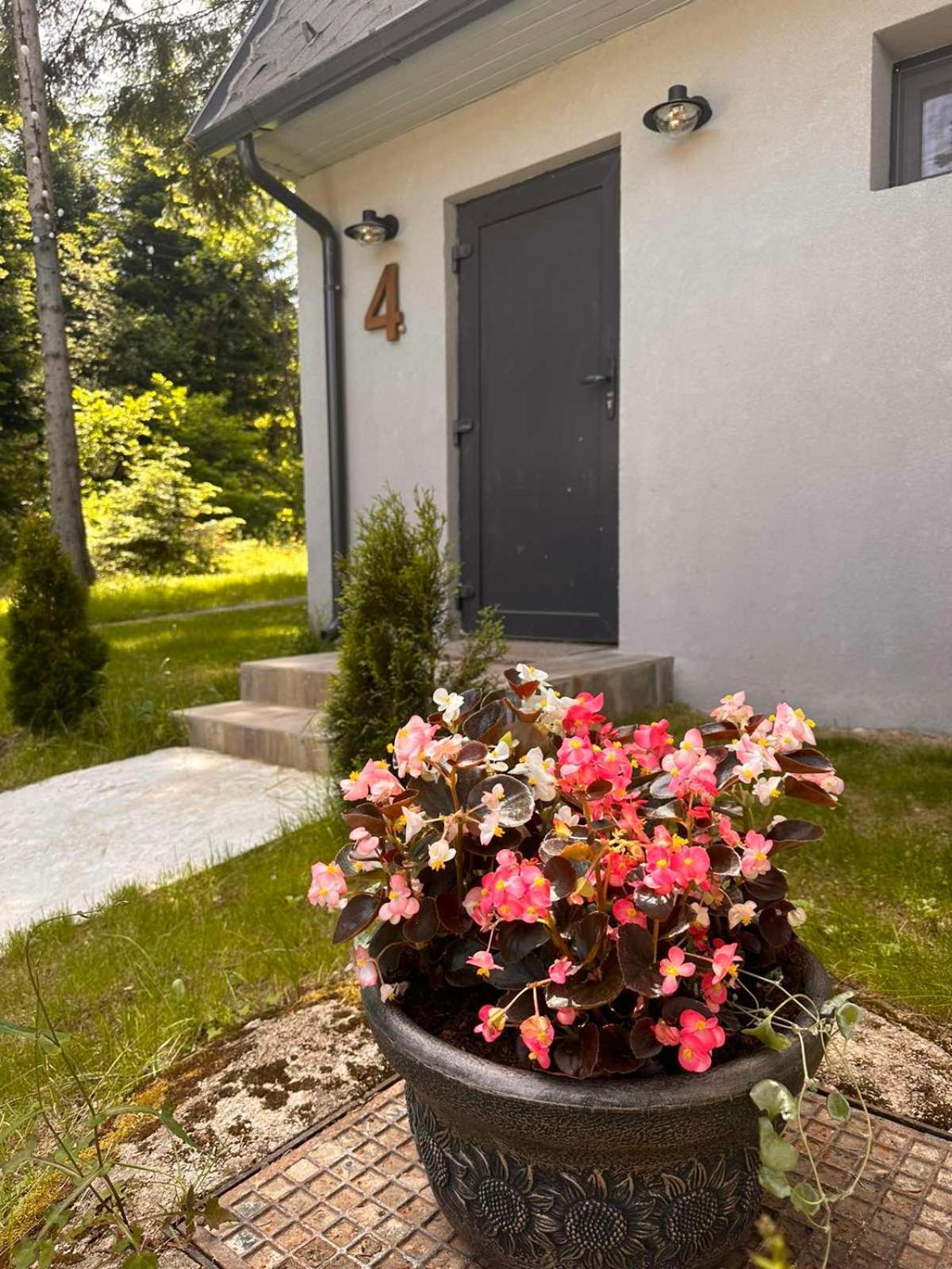 Boro Green Holiday Village Borovets Exteriör bild